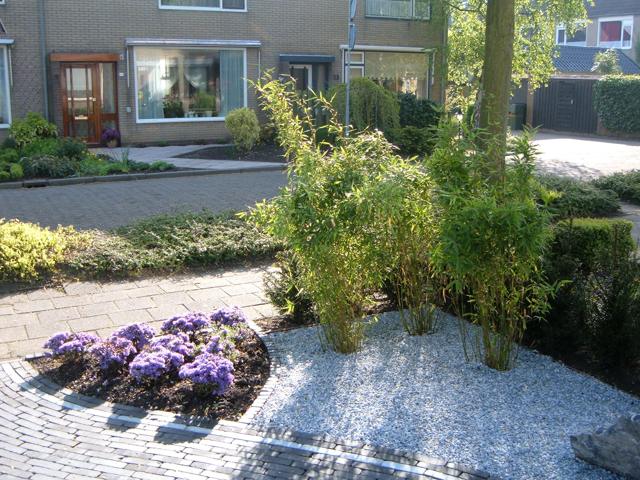 Voortuin met bamboe en gebogen borders