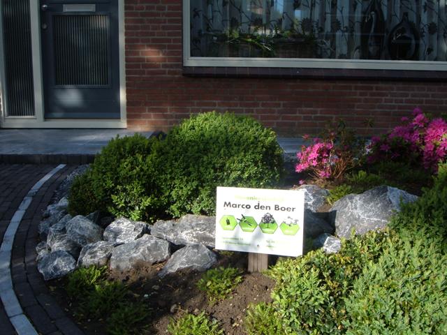 Aangelegde voortuin met buxus en keien